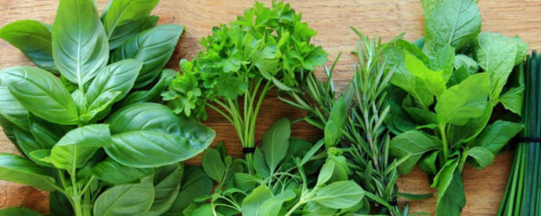 Herbes aromatiques